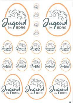 DIN A4 BDRG Sticker Jugend   "Neu"